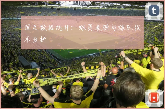 国足数据统计：球员表现与球队技术分析